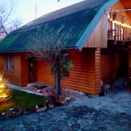 Apartament Friendly House Kołomyja Zewnętrze zdjęcie