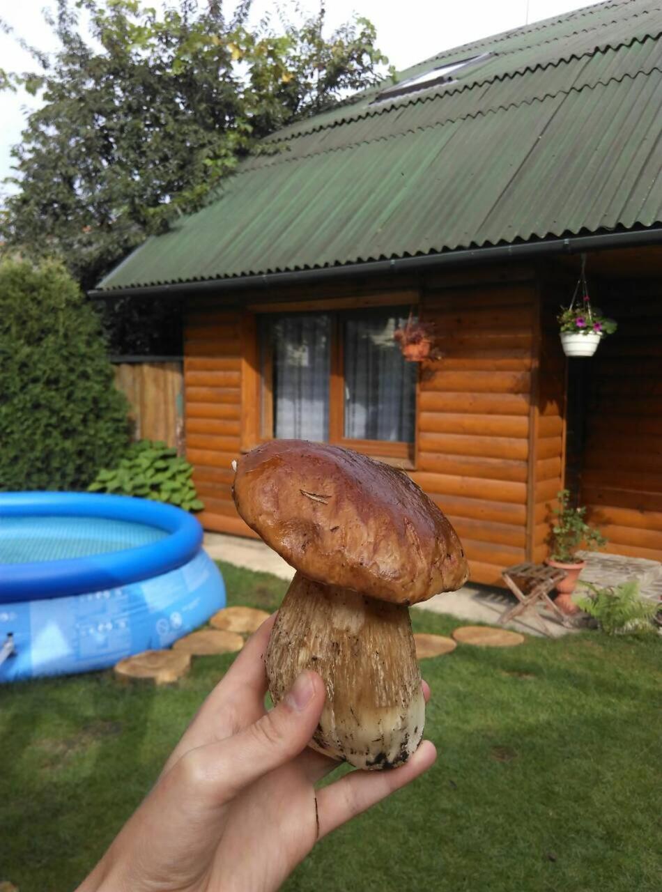 Apartament Friendly House Kołomyja Zewnętrze zdjęcie